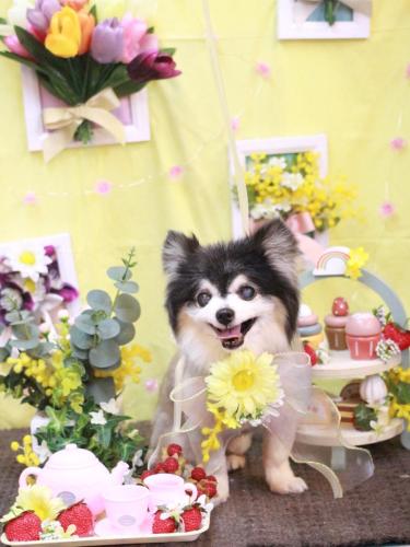 20230318虎ちゃん